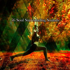 56 Soul Surrounding Sounds album cover