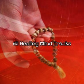 65 Healing Mind Tracks album cover