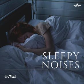 Sleepy Noises album cover