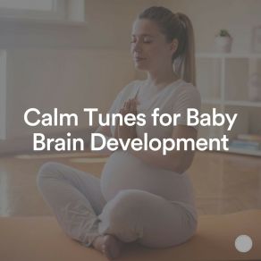Calm Tunes For Baby Brain Development album cover