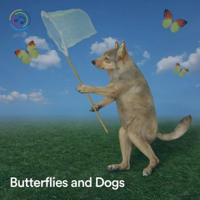 Butterflies And Dogs album cover