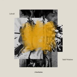 Bald Wisdom (Original Version) album cover