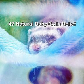 47 Natural Baby Colic Relief album cover