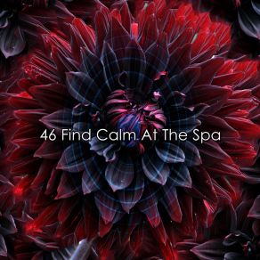 46 Find Calm At The Spa album cover