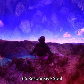 66 Responsive Soul album cover