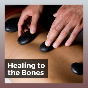 Healing To The Bones album cover