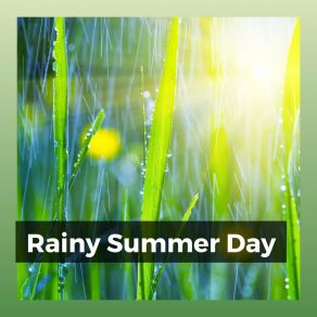 Rainy Summer Day album cover