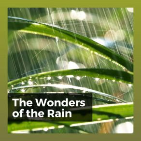 The Wonders Of The Rain album cover