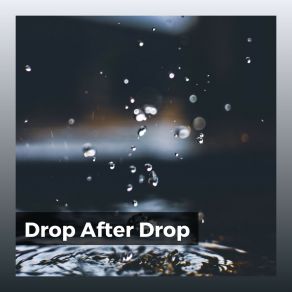 Drop After Drop album cover