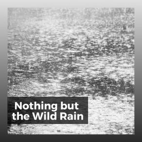Nothing But The Wild Rain album cover