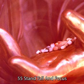 55 Stand Tall And Focus album cover