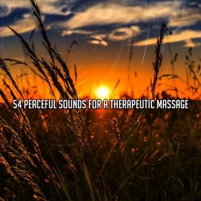 54 Peaceful Sounds For A Therapeutic Massage album cover