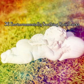 36 Envinronmentally Soothing Rain Tracks album cover