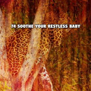 74 Soothe Your Restless Baby album cover