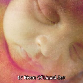 67 Rivers Of Liquid Zen album cover