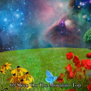 69 Sleep On The Mountain Top album cover