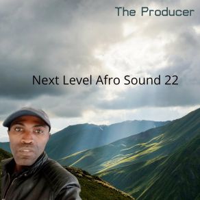 Next Level Afro Sound 22 album cover