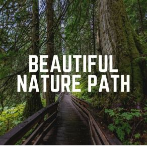 Beautiful Nature Path album cover