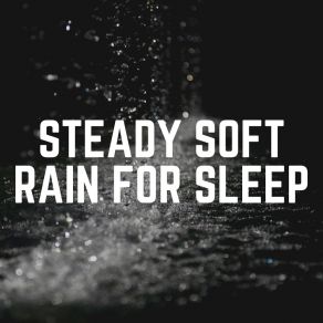 Steady Soft Rain For Sle album cover