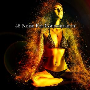 48 Noise For Concentration album cover