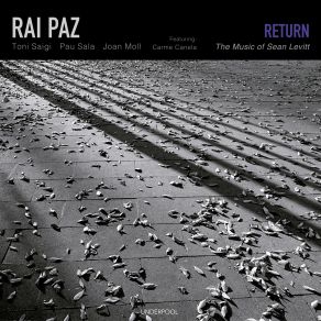 Return | The Music Of Sean Levitt album cover
