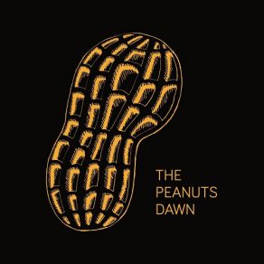 Dawn album cover