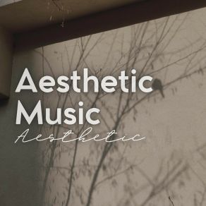 Aesthetic Music album cover