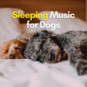 Sleeping Music For Dogs album cover