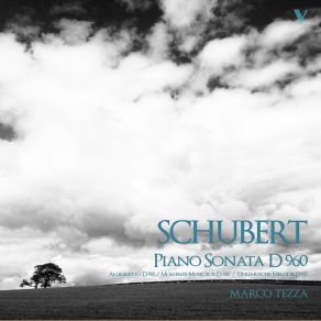 Schubert: Piano Sonata No. 21, D. 960, 6 Moments Musicaux, D. 780, Allegretto, D. 915 & Ungarische Melodie, D. 817 album cover