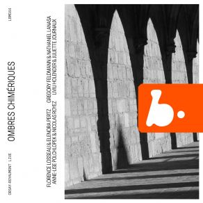 Ombres Chimériques album cover
