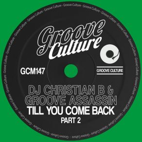 Till You Come Back, Pt. 2 album cover