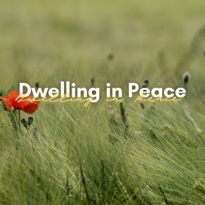 Dwelling In Peace album cover