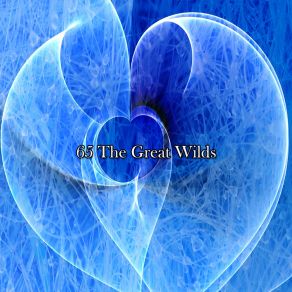 65 The Great Wilds album cover