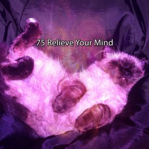 75 Relieve Your Mind album cover