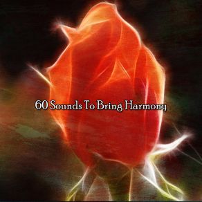 60 Sounds To Bring Harmony album cover