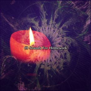 69 Sounds For Homework album cover