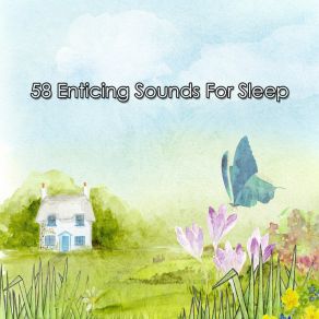 58 Enticing Sounds For Sle album cover