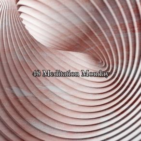 48 Meditation Monday album cover