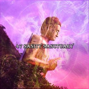 47 Sanity Sanctuary album cover