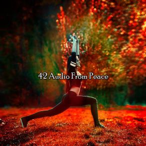 42 Audio From Peace album cover