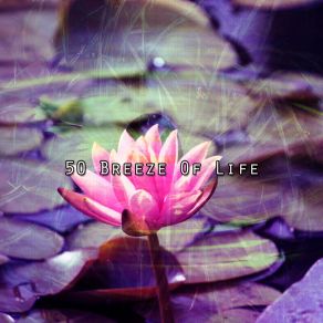 50 Breeze Of Life album cover