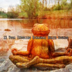 12 Yoga Inducing Binaural Beats Sounds album cover