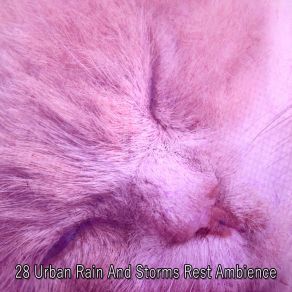 28 Urban Rain And Storms Rest Ambience album cover
