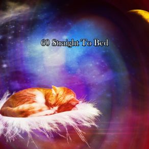60 Straight To Bed album cover