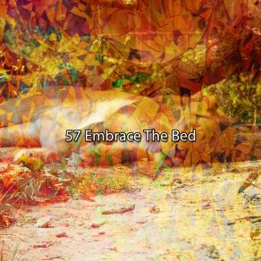 57 Embrace The Bed album cover