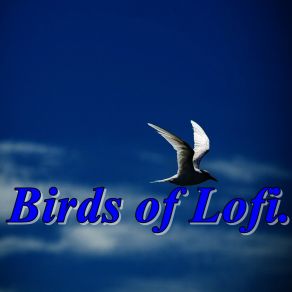 Birds Of Lofi. album cover