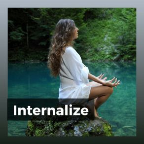 Internalize album cover