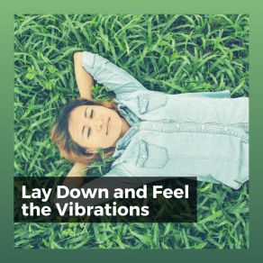 Lay Down And Feel The Vibrations album cover