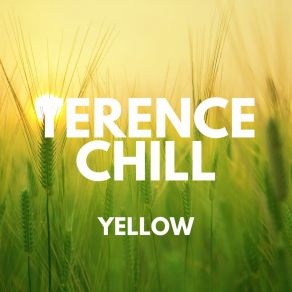 Yellow album cover