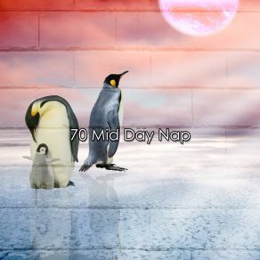 70 Mid Day Nap album cover